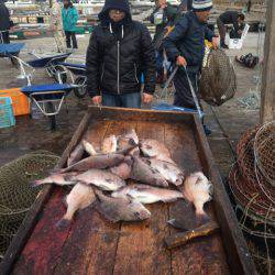 釣り堀水宝 釣果