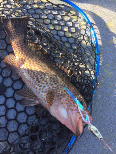 第二 海洋丸 釣果