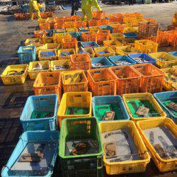 釣り堀水宝 釣果