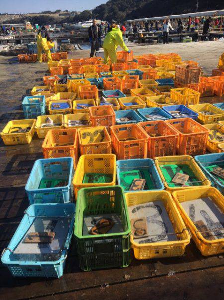 釣り堀水宝 釣果