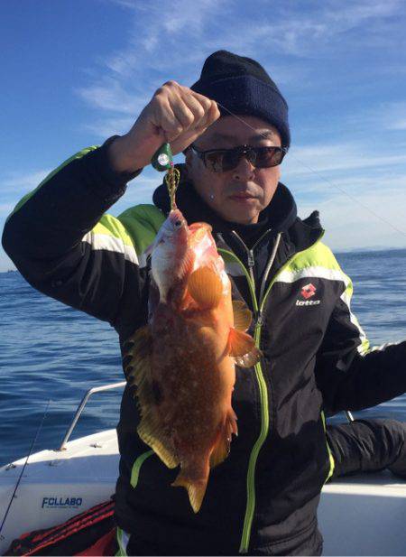 「LaGooN」蒼陽丸 日和号 釣果