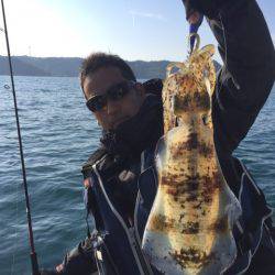 「LaGooN」蒼陽丸 日和号 釣果