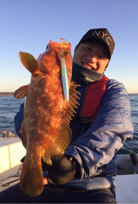 「LaGooN」蒼陽丸 日和号 釣果