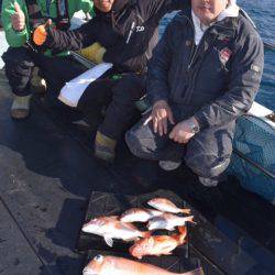 渡船屋たにぐち 釣果