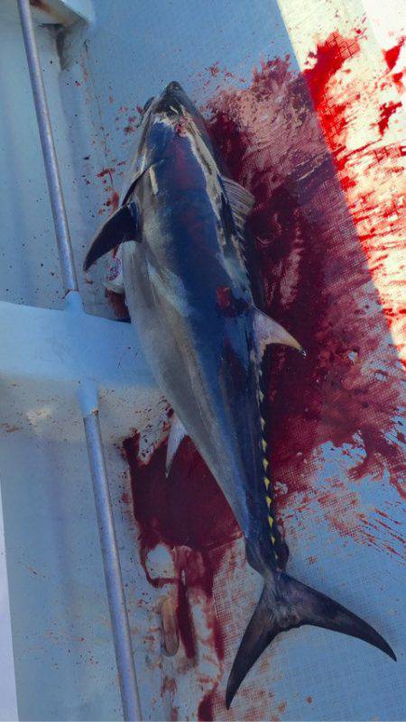 海楽隊 華栞丸 釣果