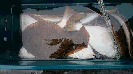 小樽港遊漁船SHAKE 釣果