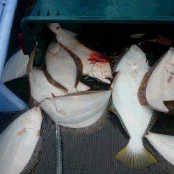 小樽港遊漁船SHAKE 釣果