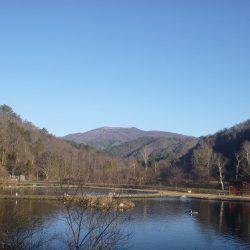 平谷湖フィッシングスポット 釣果