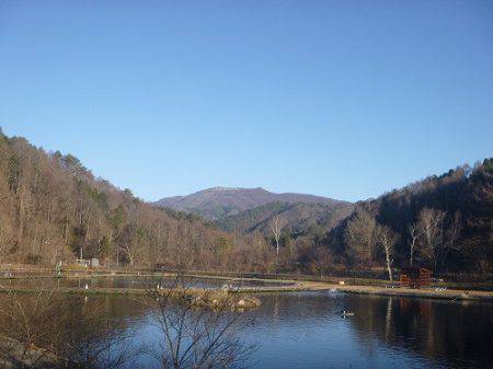 平谷湖フィッシングスポット 釣果