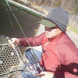 平谷湖フィッシングスポット 釣果