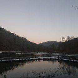 平谷湖フィッシングスポット 釣果