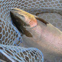 平谷湖フィッシングスポット 釣果