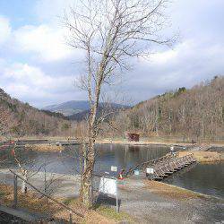 平谷湖フィッシングスポット 釣果