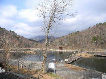 平谷湖フィッシングスポット 釣果