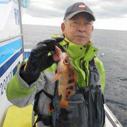 佐衛美丸 釣果