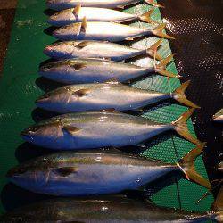 まるいち丸 ZERO-1 釣果