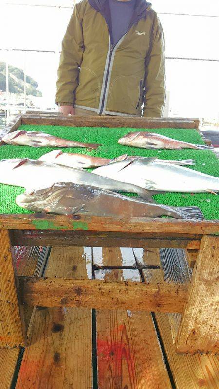 海の釣堀 海恵 釣果