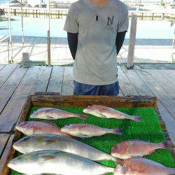 海の釣堀 海恵 釣果