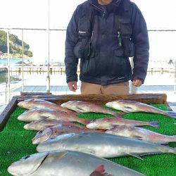 海の釣堀 海恵 釣果