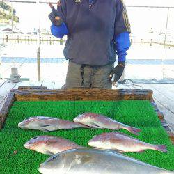 海の釣堀 海恵 釣果