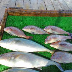 海の釣堀 海恵 釣果