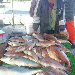 海の釣堀 海恵 釣果