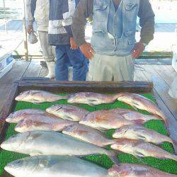 海の釣堀 海恵 釣果
