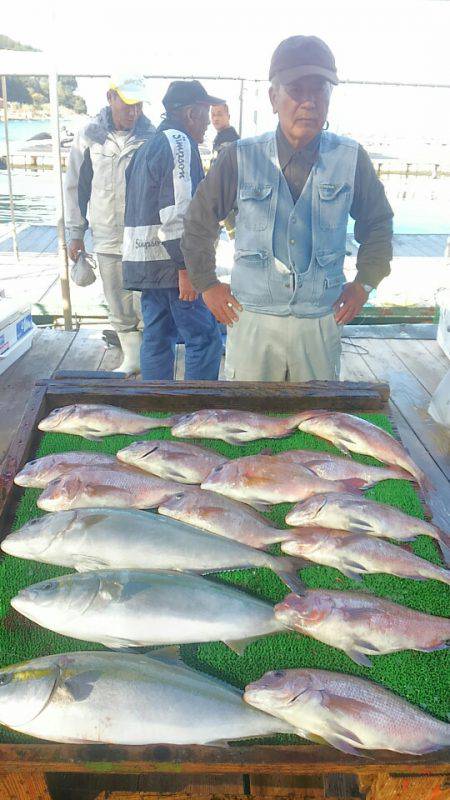 海の釣堀 海恵 釣果