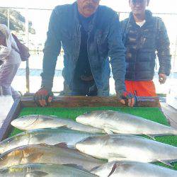 海の釣堀 海恵 釣果