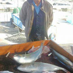 海の釣堀 海恵 釣果