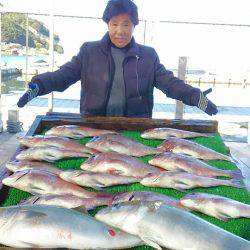 海の釣堀 海恵 釣果