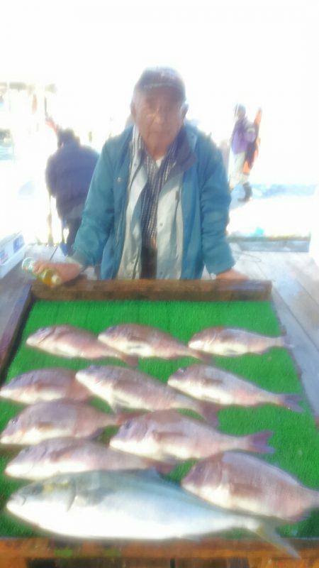 海の釣堀 海恵 釣果