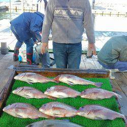 海の釣堀 海恵 釣果