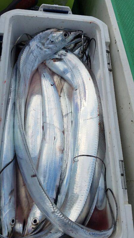 金沢八景鴨下丸 釣果