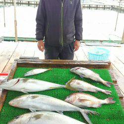 海の釣堀 海恵 釣果