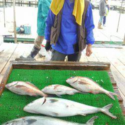海の釣堀 海恵 釣果