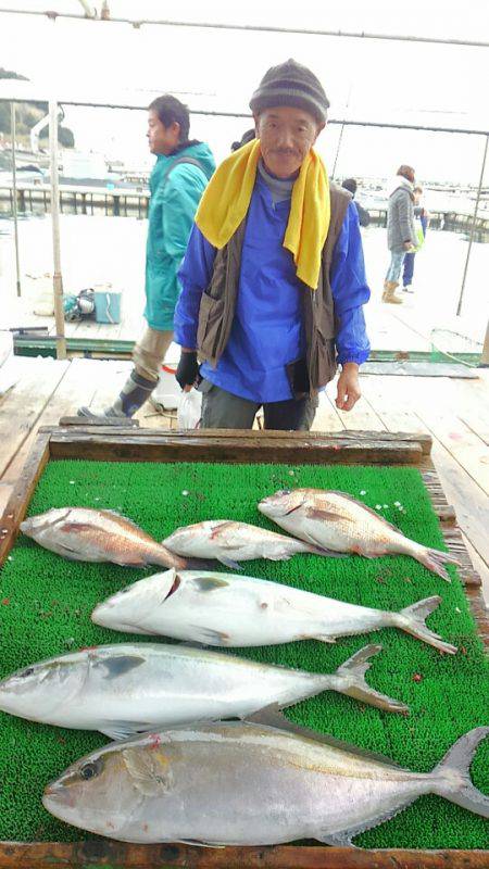 海の釣堀 海恵 釣果