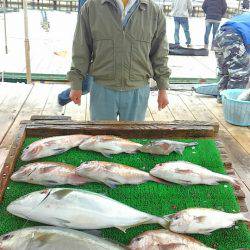 海の釣堀 海恵 釣果