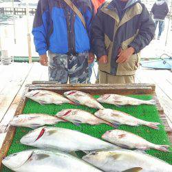 海の釣堀 海恵 釣果