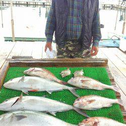 海の釣堀 海恵 釣果