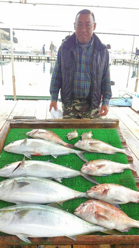 海の釣堀 海恵 釣果
