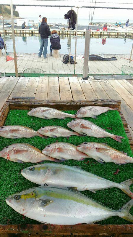 海の釣堀 海恵 釣果