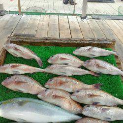 海の釣堀 海恵 釣果