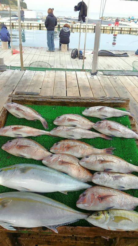 海の釣堀 海恵 釣果