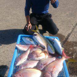 第三共栄丸 釣果