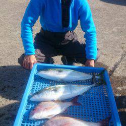 第三共栄丸 釣果