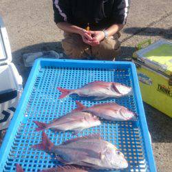 第三共栄丸 釣果