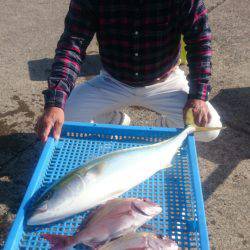 第三共栄丸 釣果