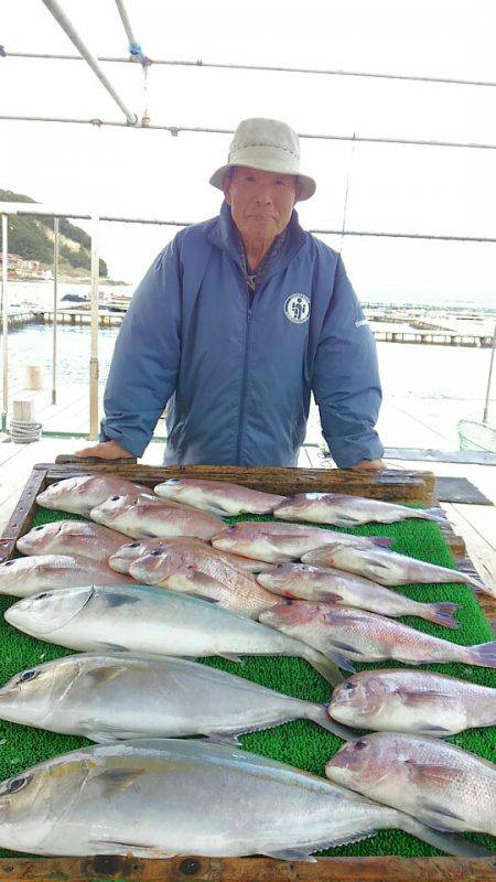 海の釣堀 海恵 釣果