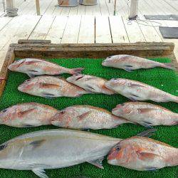 海の釣堀 海恵 釣果